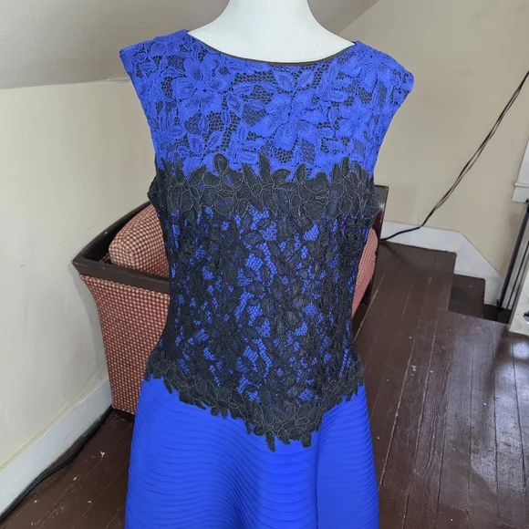 Tadashi Shoji Blue Black Lace Fit & Flare Dress Size 12 Cocktail Evening  Party - www.joarbit.com